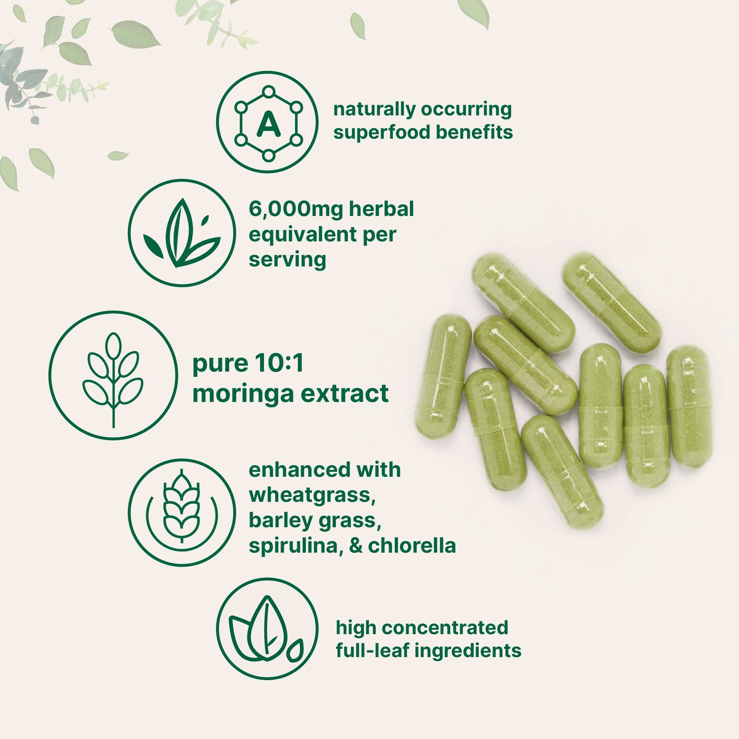 Moringa Oleifera, 300 Capsules with Supergreens Blend of Wheatgrass, Barley Grass, Spirulina, & Chlorella
