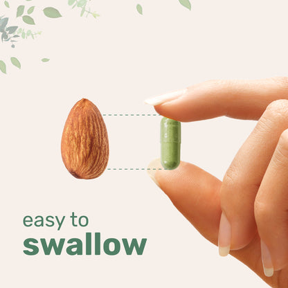 Moringa Oleifera, 300 Capsules with Supergreens Blend of Wheatgrass, Barley Grass, Spirulina, & Chlorella
