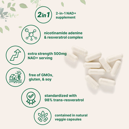 Micro Ingredients NAD+ Supplement 500mg with Resveratrol, 240 Veggie Capsules