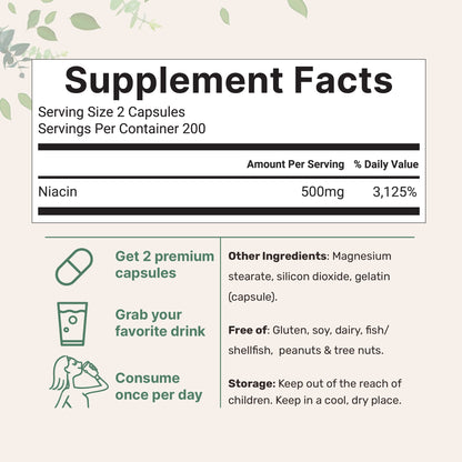 Micro Ingredients Niacin 500mg Per Serving, 400 Capsules | Flush Free B3 Vitamins