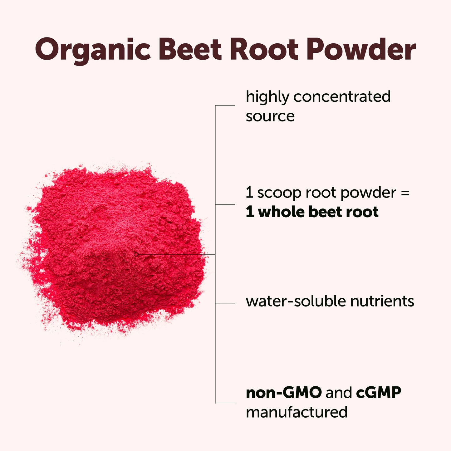 Micro Ingredients Organic Beet Root Powder, 1 lb