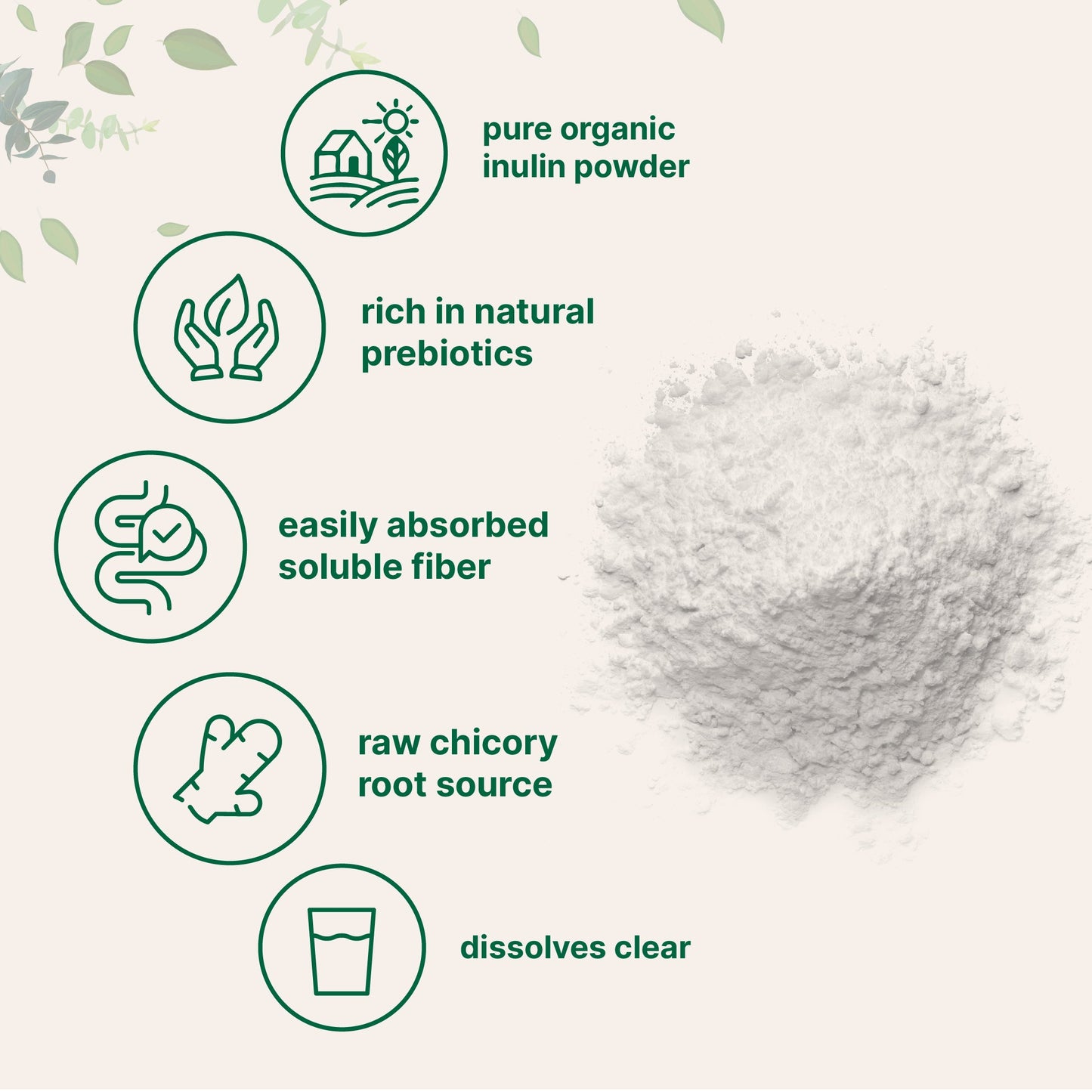 Micro Ingredients Organic Chicory Inulin Powder, 2lb