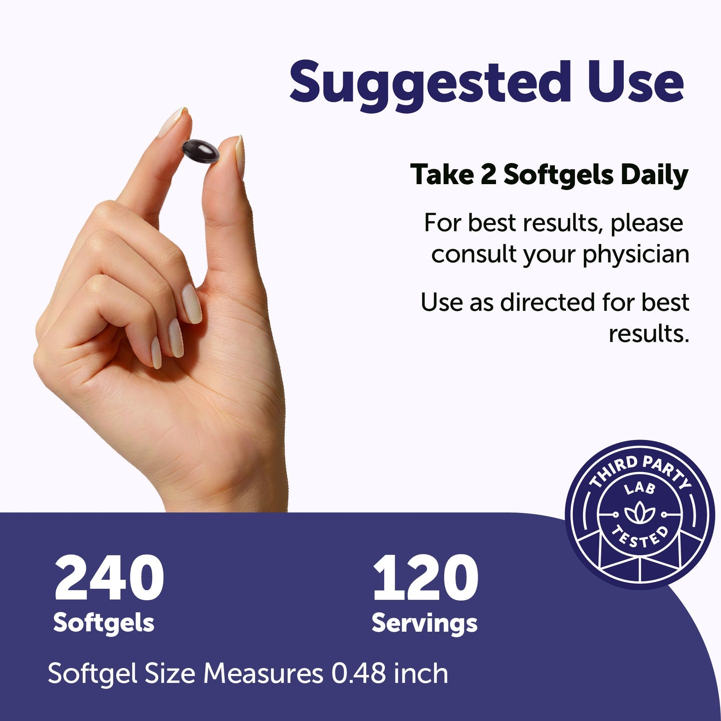 Micro Ingredients P5P 100mg with MCT Oil, 240 Softgels