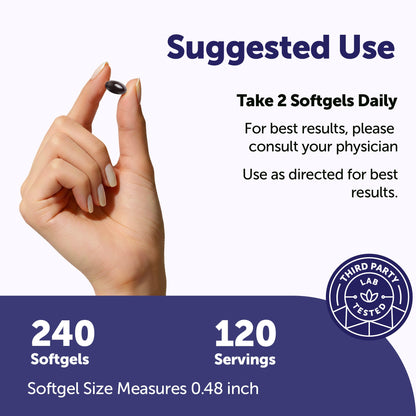 Micro Ingredients P5P 100mg with MCT Oil, 240 Softgels