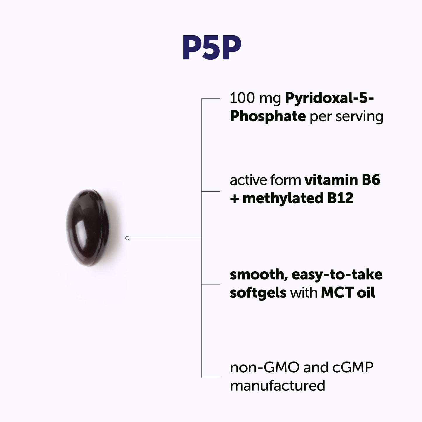 Micro Ingredients P5P 100mg with MCT Oil, 240 Softgels