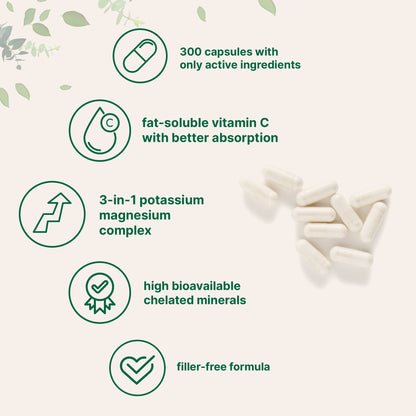 Micro Ingredients Pure Potassium Magnesium Supplement, 300 Capsules
