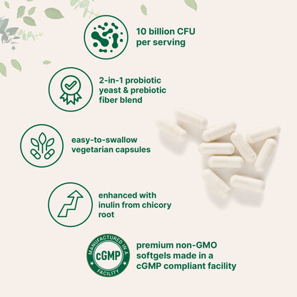 Micro Ingredients Saccharomyces Boulardii 10 billion CFU with Prebiotics, 240 Vegetarian Capsules