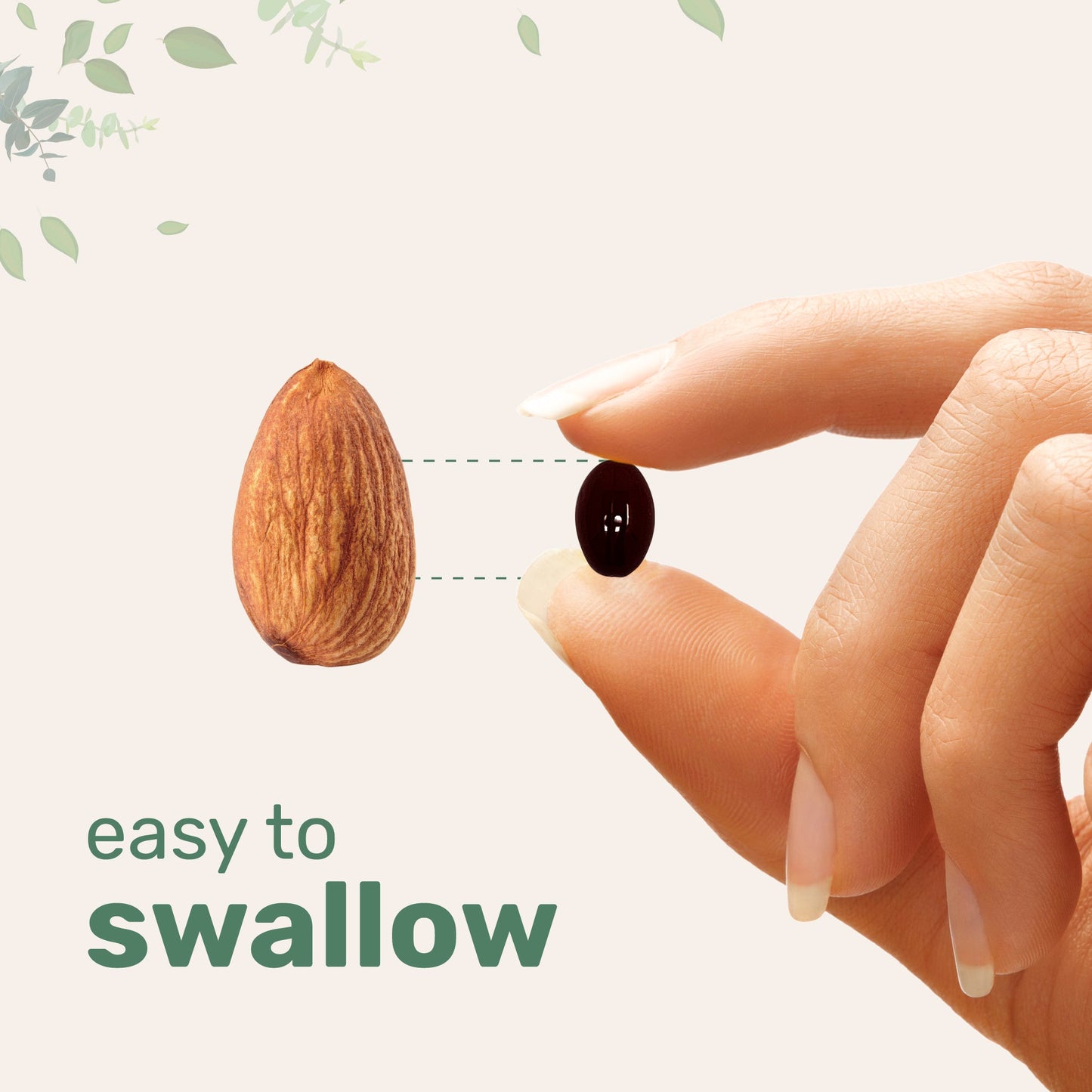 Micro Ingredients Saw Palmetto with Pumpkin Seed Oil, 240 Softgels