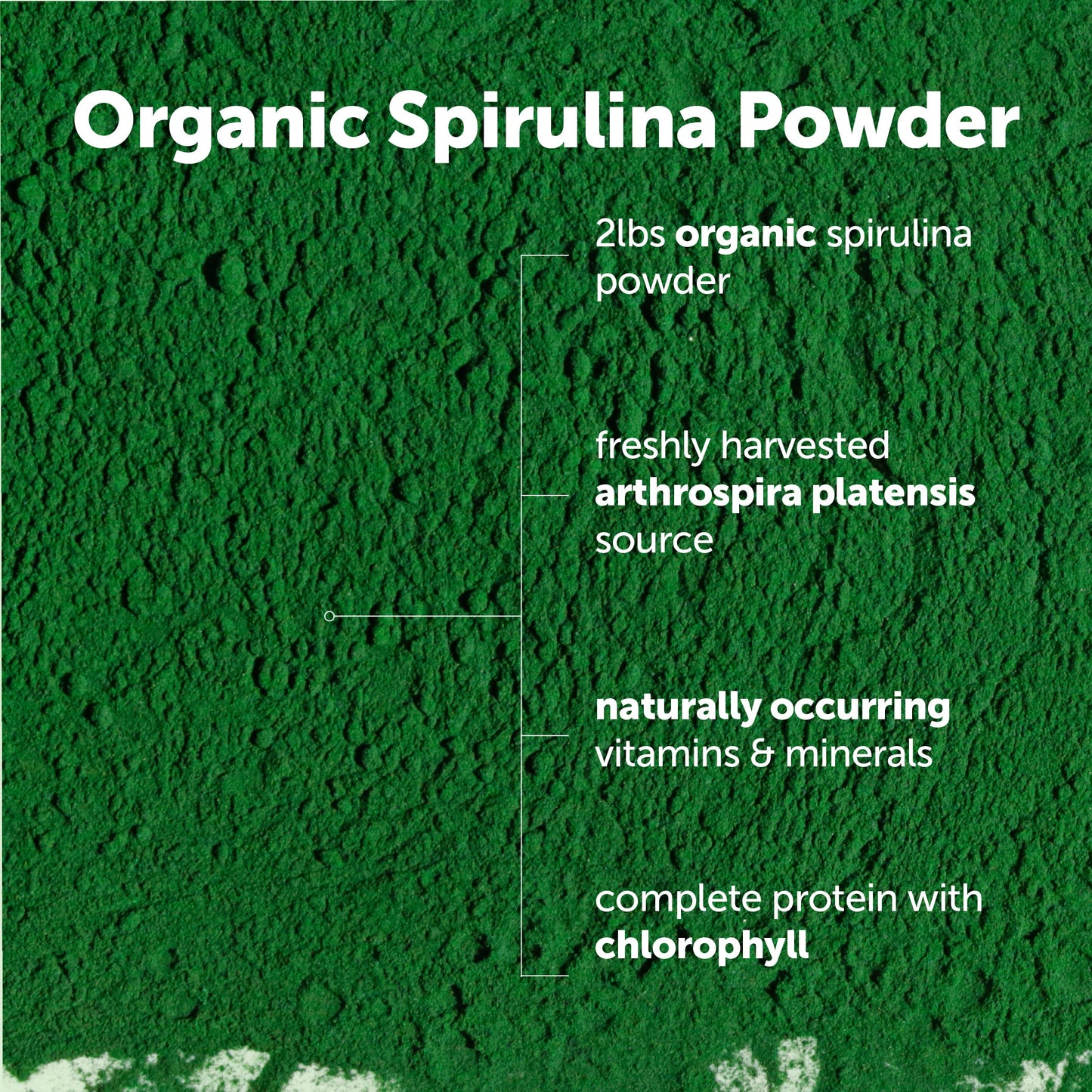 Micro Ingredients Organic Spirulina Powder
