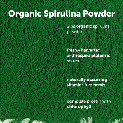 Micro Ingredients Organic Spirulina Powder