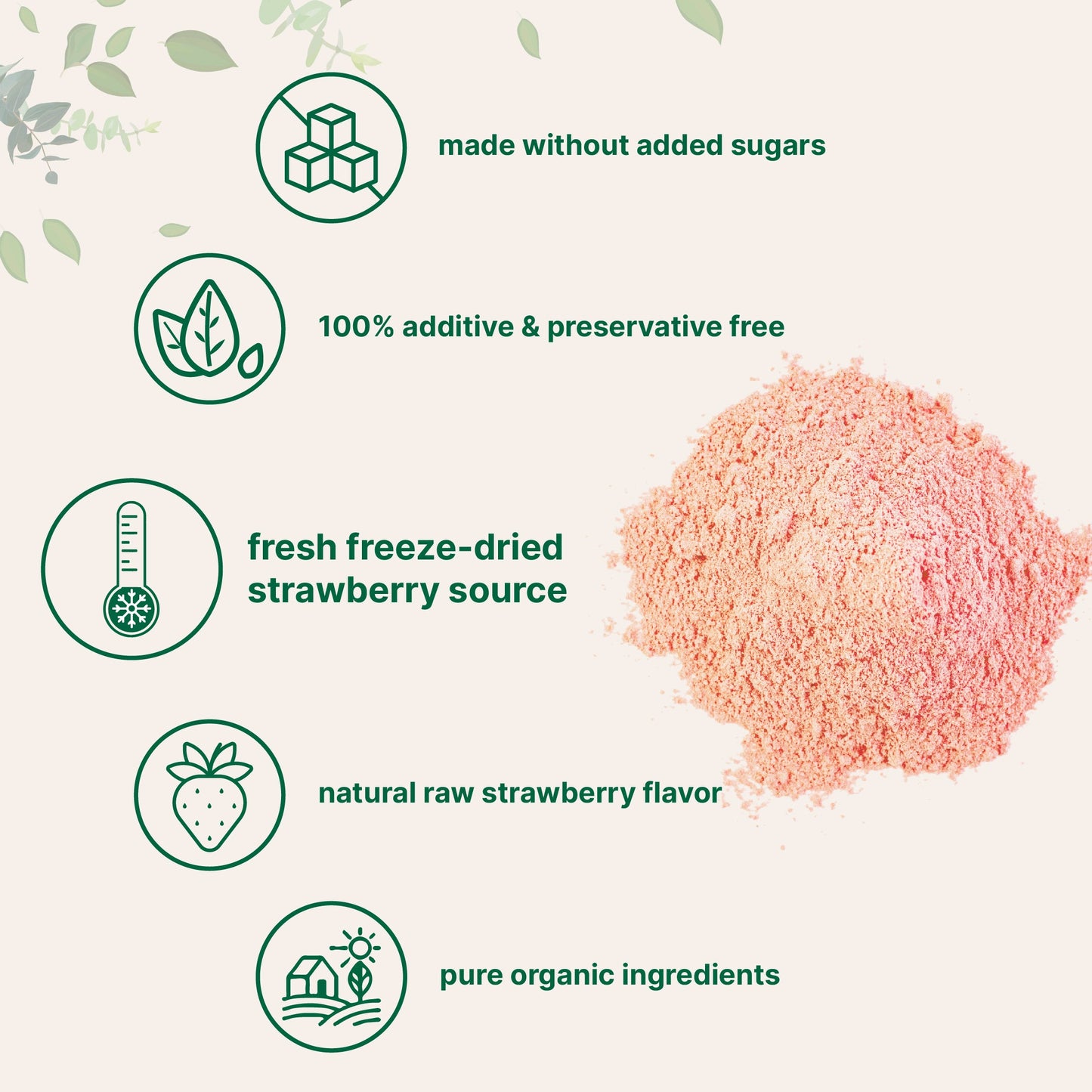 Micro Ingredients Organic Freeze-Dried Strawberry Powder 1 lb