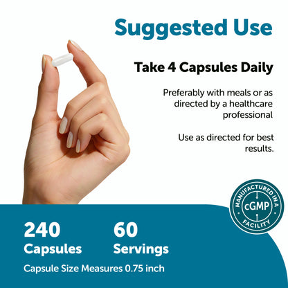 Micro Ingredients TMG 2000mg, 240 Capsules