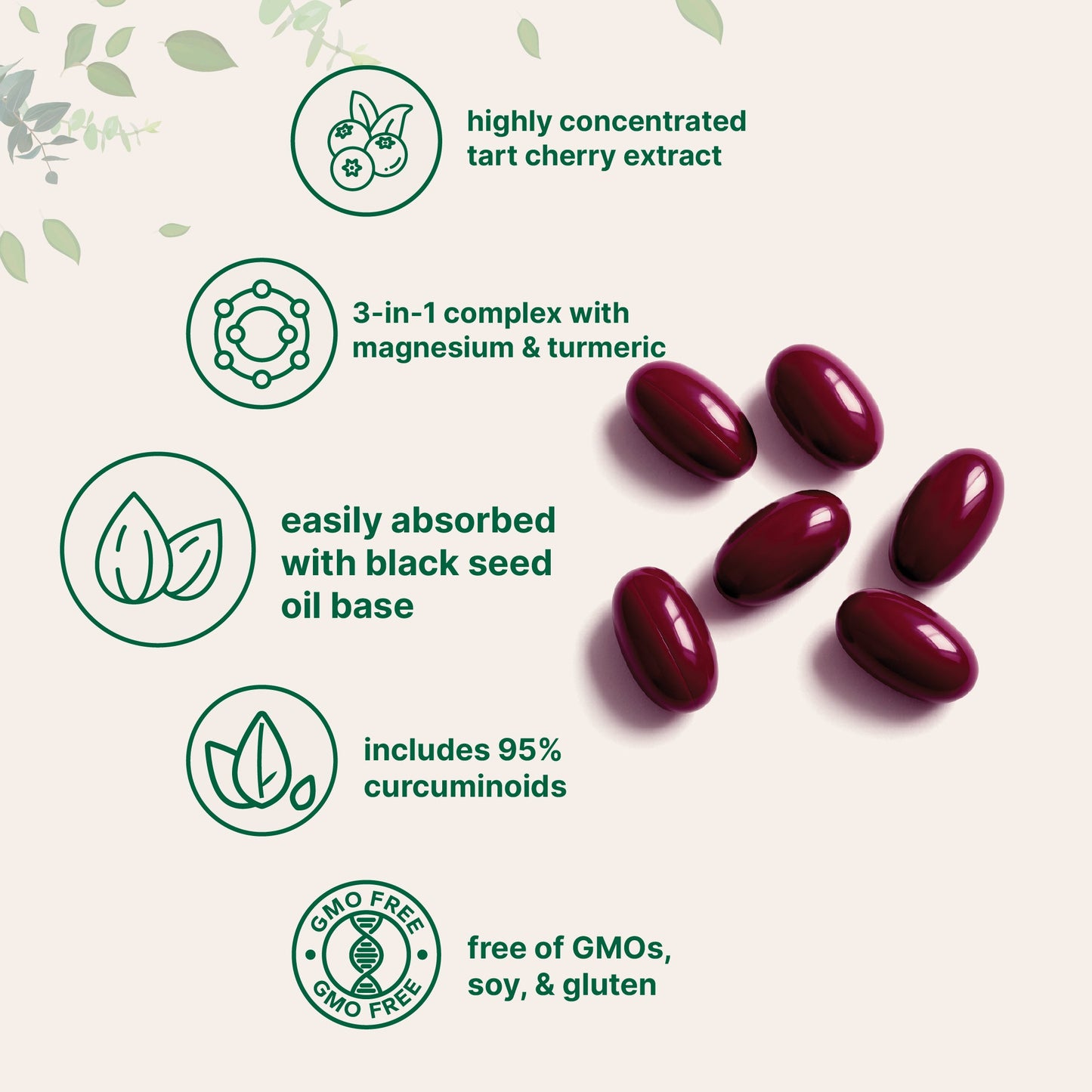 Micro Ingredients Tart Cherry+ with Black Seed Oil, 300 Softgels