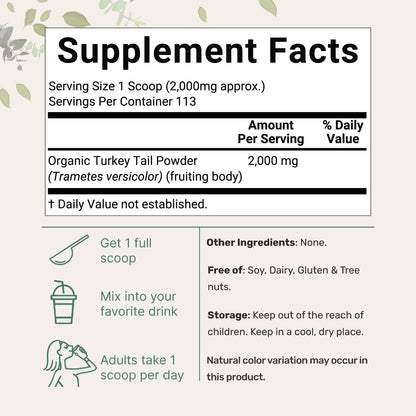 Micro Ingredients Organic Turkey Tail Powder, 8oz