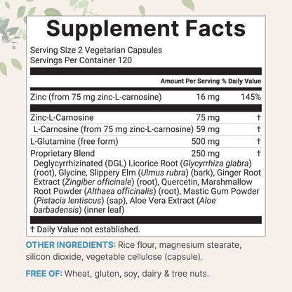 Micro Ingredients Zinc Carnosine 75mg, 240 Veggie Capsules