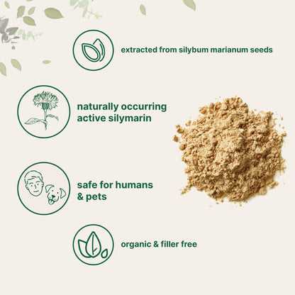 Micro Ingredients Organic Milk Thistle Powder