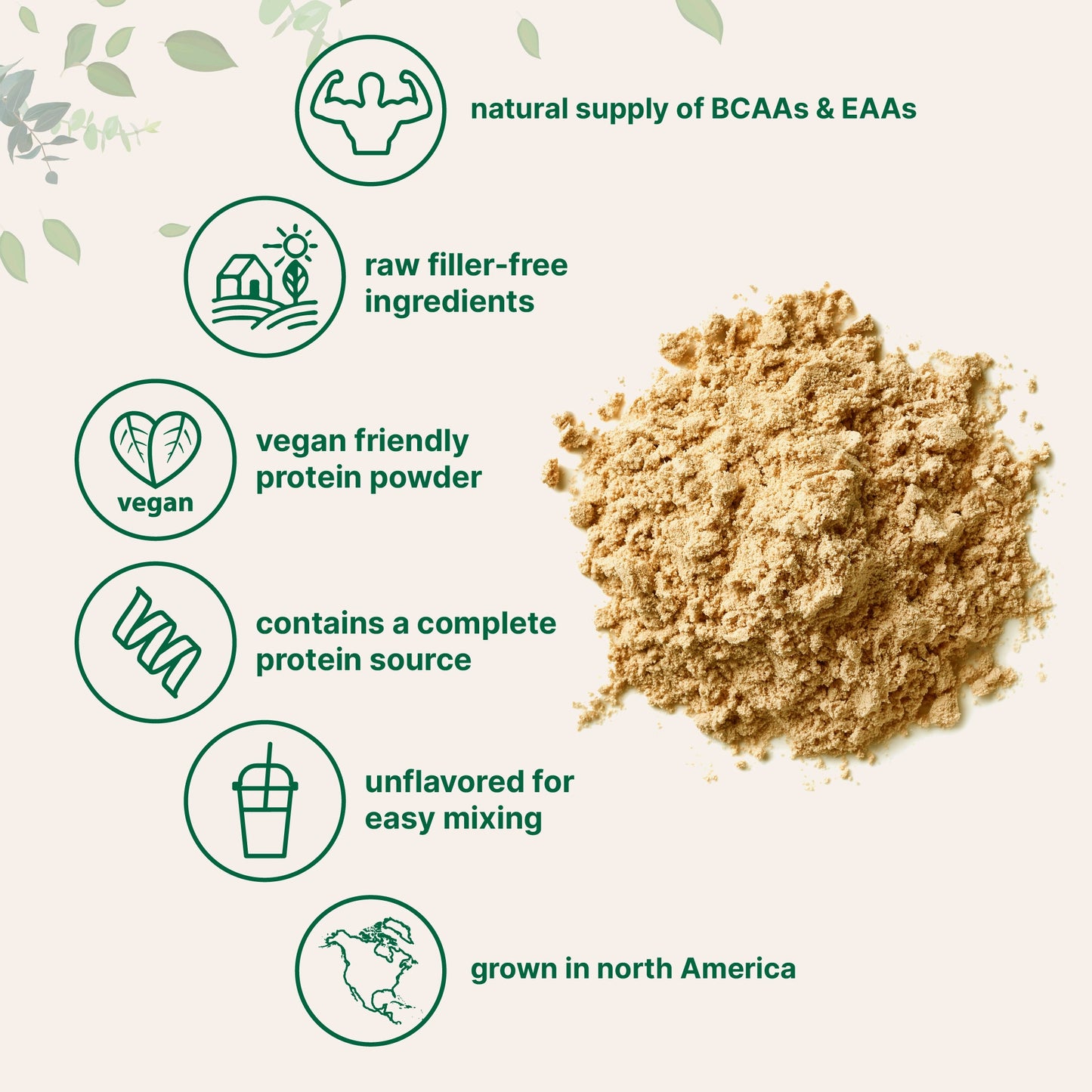 Micro Ingredients Pea Protein Powder, 5lb